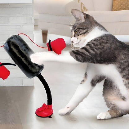 Household Cat Boxing Rack Spring Toy – Interactive Cat Toy for Active Play and Exercise