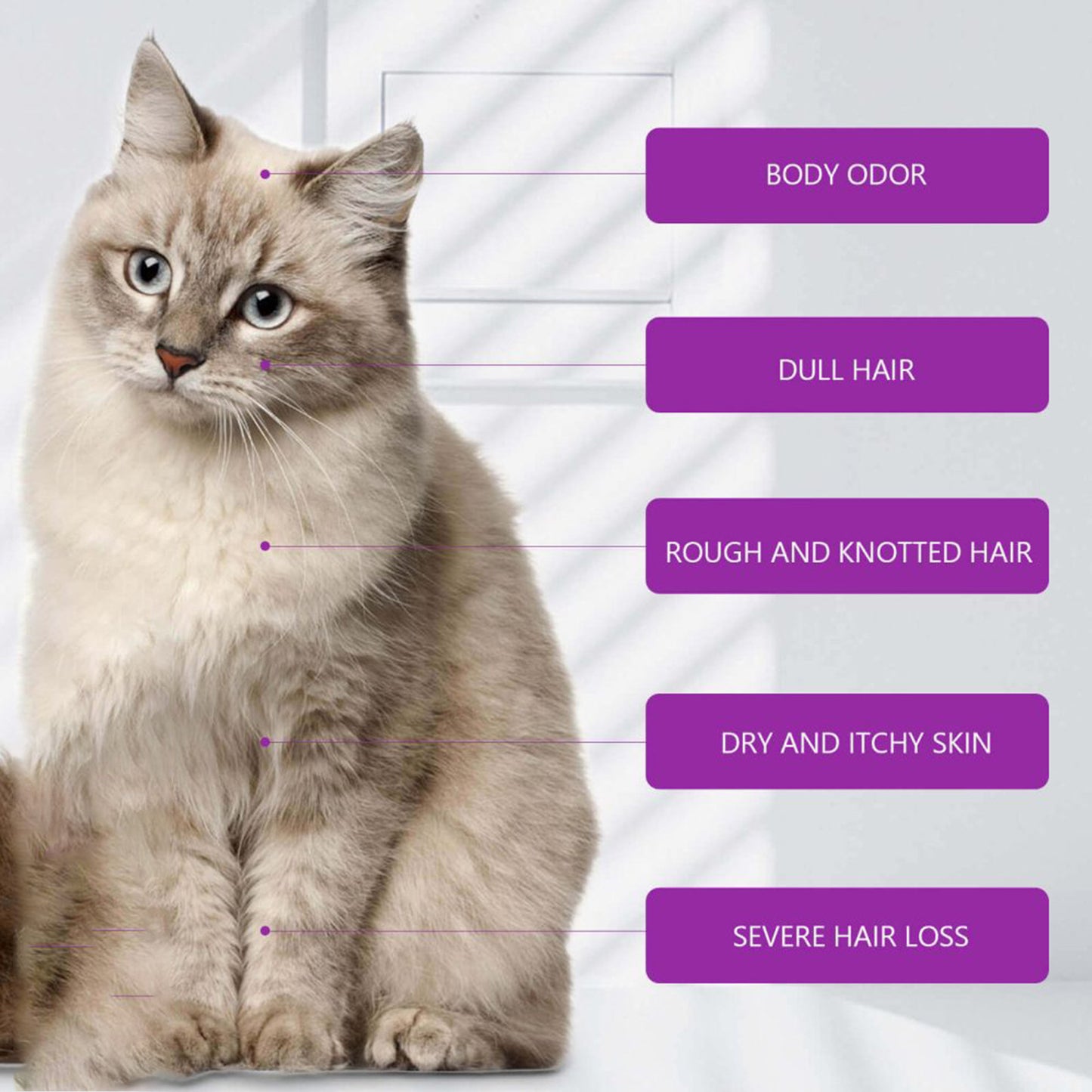 Pet Shampoo for Bathing – Relieves Skin Itching, Softens Hair, Prevents Knots – Gentle, Soothing Formula for Healthy Coat