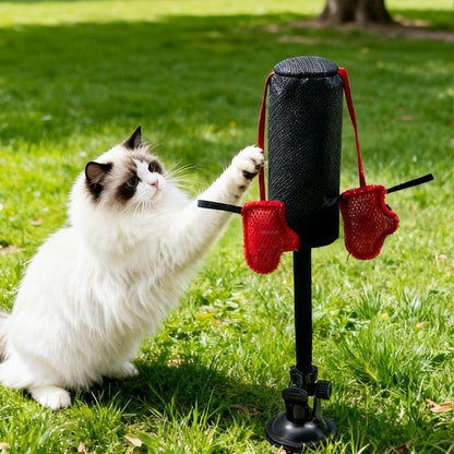 Household Cat Boxing Rack Spring Toy – Interactive Cat Toy for Active Play and Exercise